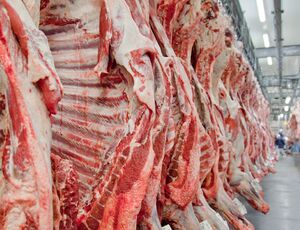 Mesmo diante de 'tarifaço', Brasil registra exportação recorde de carne bovina em setembro