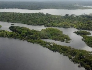 Congresso privilegia máquinas e destina menos de 1% das emendas para proteger meio ambiente