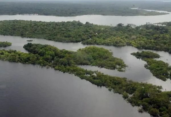 Congresso privilegia máquinas e destina menos de 1% das emendas para proteger meio ambiente