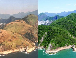 Conheça os projetos que transformaram o Rio em um estado onde a Mata Atlântica volta a crescer