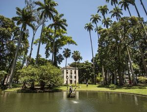 Museu da República celebra 65 anos com foco na Consciência Negra e no protagonismo das mulheres