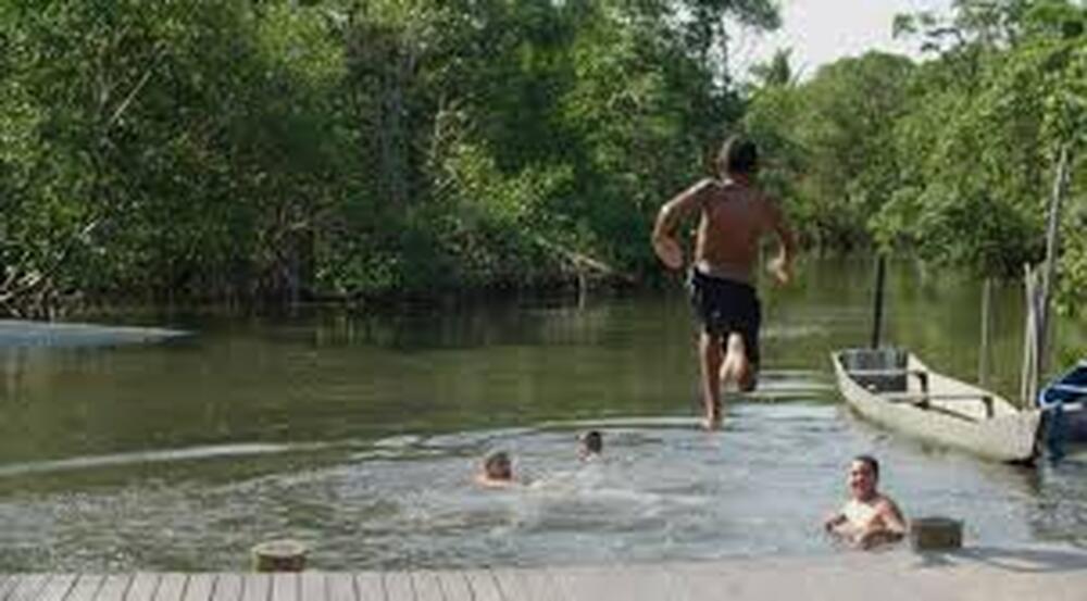Documentário destaca relevância ambiental dos manguezais do Espírito Santo em nova produção da Bloom Ocean