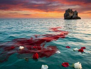CAPITANIA DOS PORTOS DE ANGRA DOS REIS FAZ MORADORES DE PALHAÇOS?