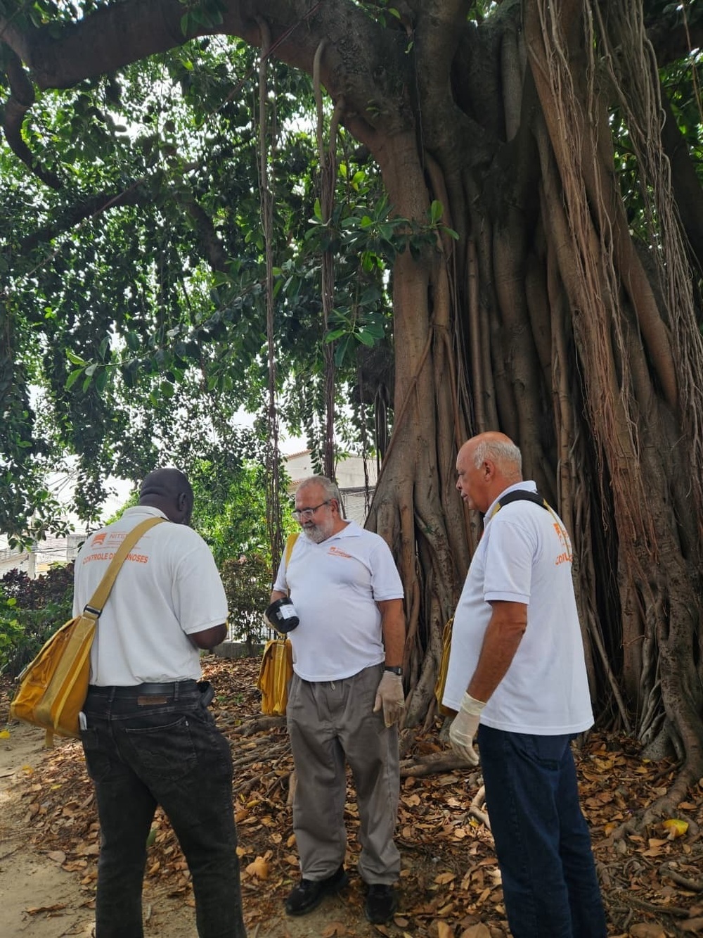 Niterói intensifica ações contra a dengue e reforça estratégia de prevenção no verão