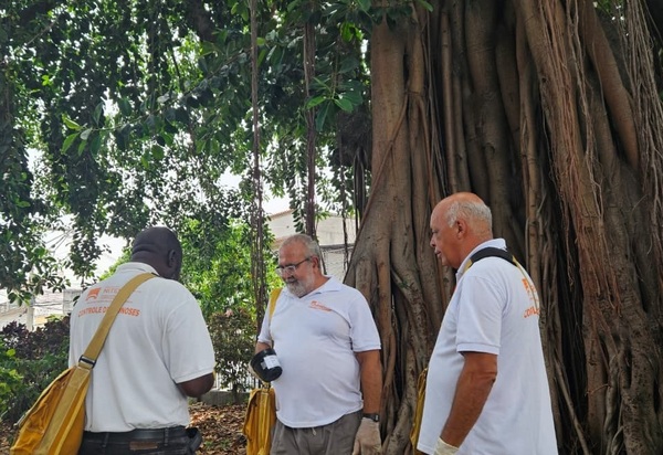 Niterói intensifica ações contra a dengue e reforça estratégia de prevenção no verão