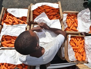 O Brasil não vai acabar com a fome da Faria Lima 