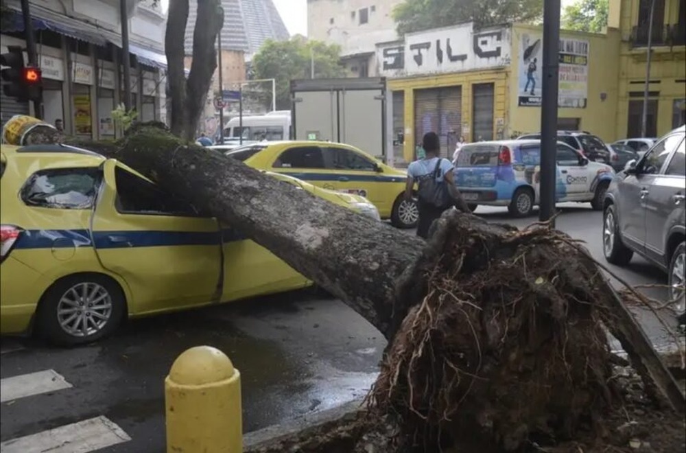 Brasil libera motosserra cidadã: se o governo não corta, você mesmo resolve!