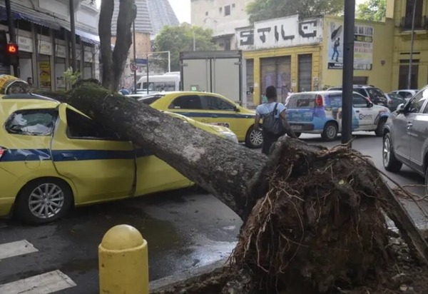 Brasil libera motosserra cidadã: se o governo não corta, você mesmo resolve!