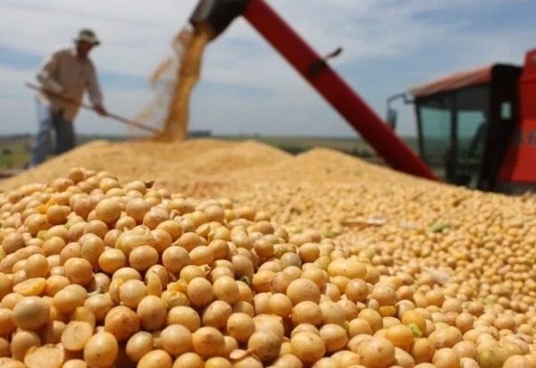 Supermercados europeus dão ultimato a tradings que deixaram a moratória da soja