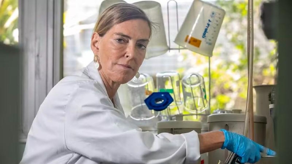 O que é a polilaminina? Entenda de forma didática a substância apelidada de 'Proteína de Deus'