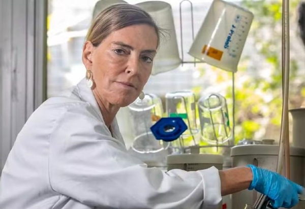 O que é a polilaminina? Entenda de forma didática a substância apelidada de 'Proteína de Deus'