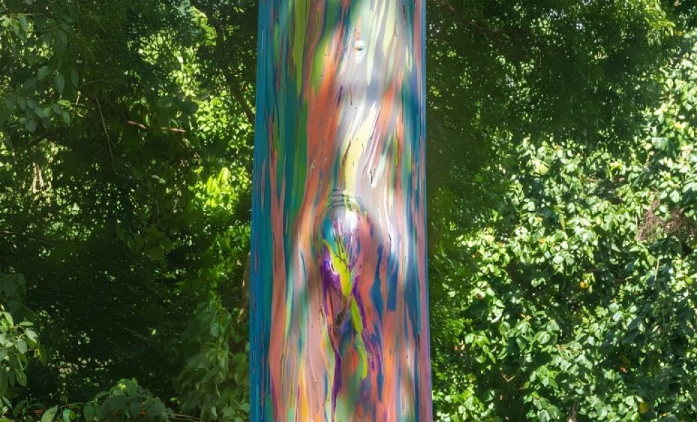 Parece IA, mas não é! Árvore arco-íris é real – e espetacular