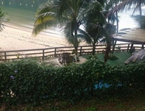 DEFESA CIVIL e DPF DE ANGRA DOS REIS NO CENTRO DE CONTROVÉRSIAS