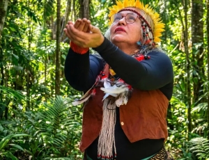 Museu Histórico da Cidade celebra saberes indígenas no Rio de Janeiro 