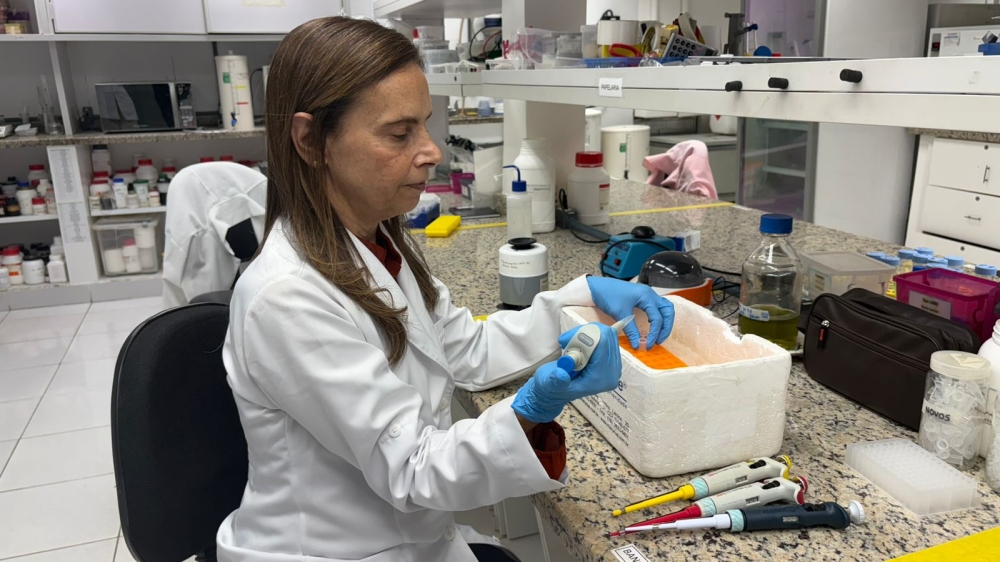 Agricultura ganha aliada da ciência: pesquisa desenvolve plantas mais produtivas e resistentes