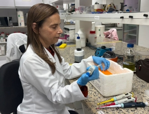 Agricultura ganha aliada da ciência: pesquisa desenvolve plantas mais produtivas e resistentes