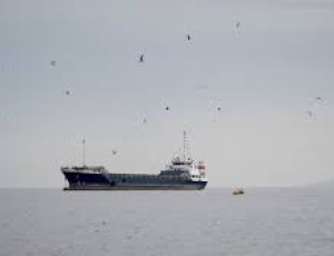 Petroleiro russo atravessa o Estreito de Ormuz apesar de bloqueio dos Estados Unidos