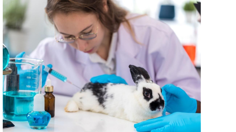 Brasil reinclui métodos sem uso de testes em animais em estratégia científica após pressão da sociedade