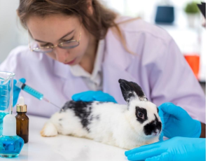 Brasil reinclui métodos sem uso de testes em animais em estratégia científica após pressão da sociedade