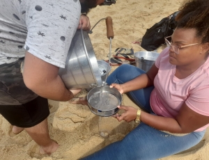 Do plástico ao microplástico: pesquisa investiga impactos e propõe soluções sustentáveis 