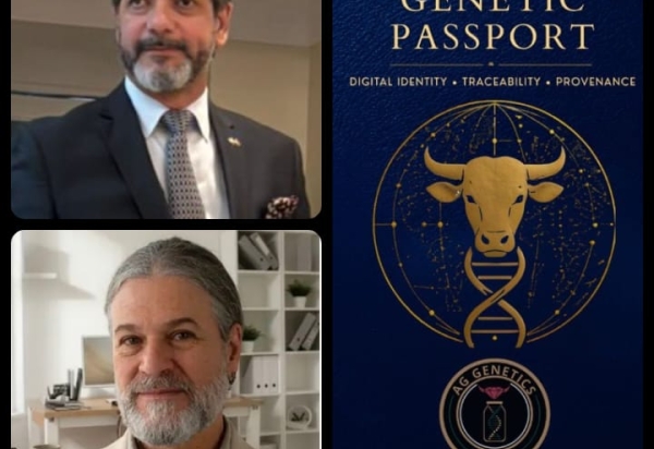 Dois brasileiros inovam ao integrar genética bovina, blockchain e rastreabilidade global