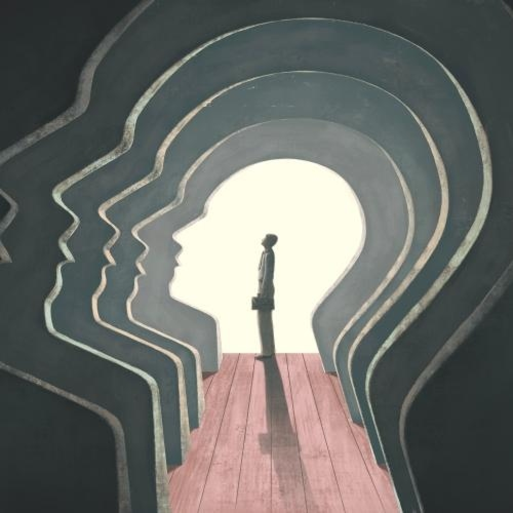 Considerações sobre a consciência ingênua - Professor Hamilton Werneck