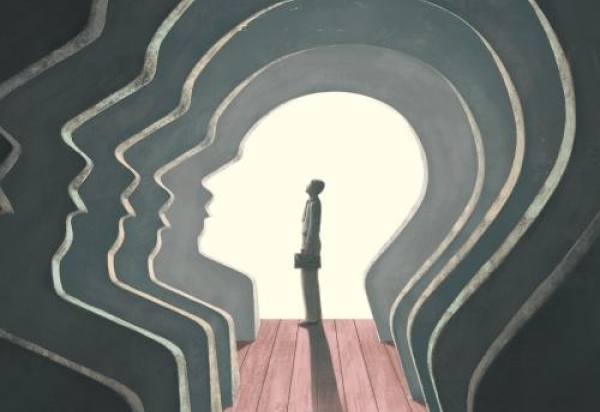 Considerações sobre a consciência ingênua - Professor Hamilton Werneck