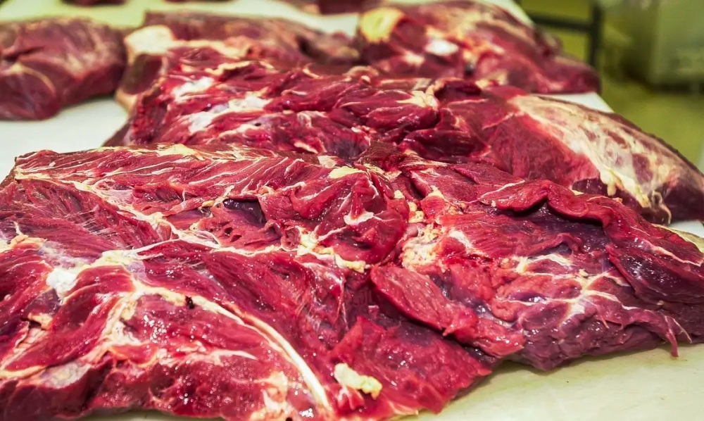 Possível restrição europeia à carne brasileira preocupa setor agropecuário