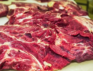 Possível restrição europeia à carne brasileira preocupa setor agropecuário