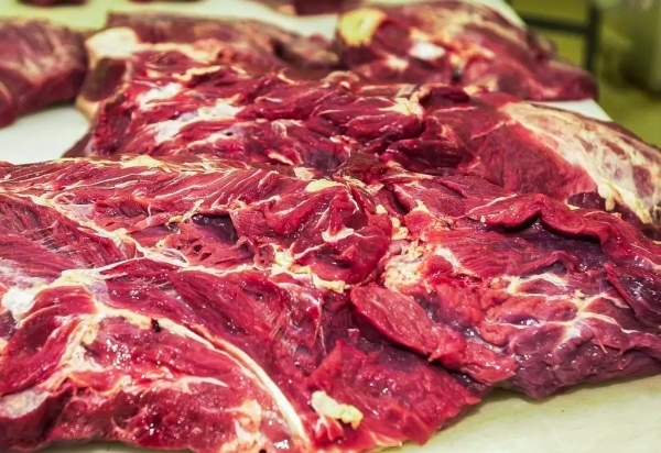 Possível restrição europeia à carne brasileira preocupa setor agropecuário