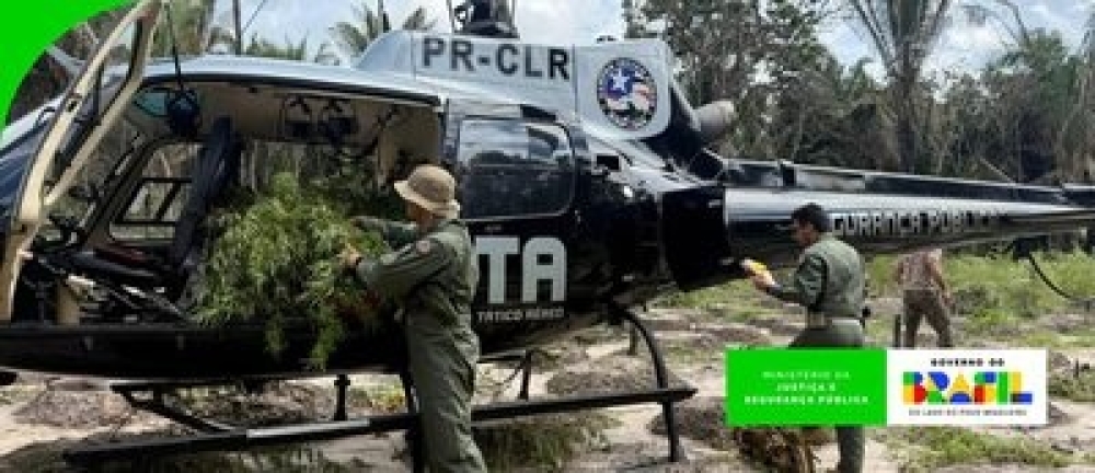Operação Brasil Contra o Crime Organizado provoca prejuízo de R$ 4,4 milhões a facções