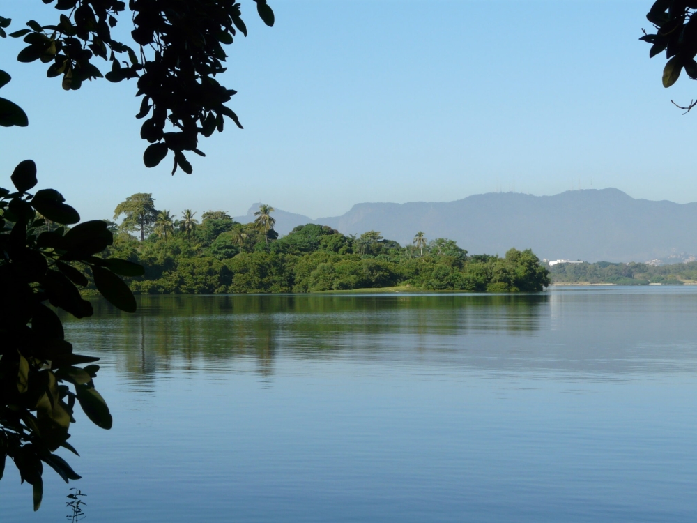 Semana do Meio Ambiente da Prefeitura Universitária 2026