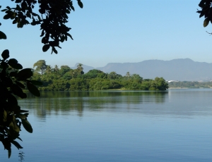 Semana do Meio Ambiente da Prefeitura Universitária 2026