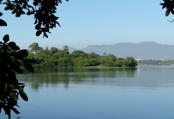 Semana do Meio Ambiente da Prefeitura Universitária 2026