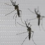 SUS suspende uso de vacina da dengue do Butantan após reações adversas