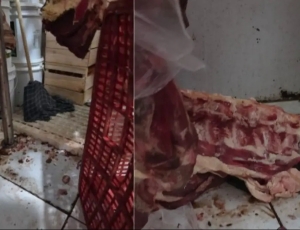 Vigilância Sanitária apreende 885 kg de alimentos impróprios e interdita supermercado em Guarus