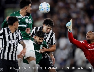 Botafogo segura Palmeiras e ajuda Flamengo, novo líder do Brasileirão