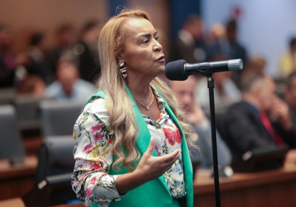 Tia Ju vai ao Ministério Público pedir suspensão de eleição no Conselho Estadual de Educação por irregularidades