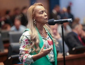 Tia Ju vai ao Ministério Público pedir suspensão de eleição no Conselho Estadual de Educação por irregularidades