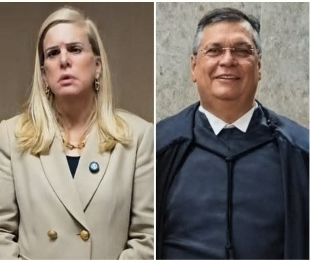 Ministro descredibiliza STF: Presidenta da OAB/RJ enquadra Dino em representação à classe e defesa da sociedade