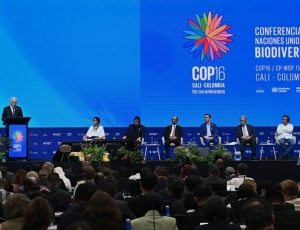 Farra com dinheiro público continua no governo do Desembargador: Secretaria do Ambiente e Inea levam comitiva para a COP 17, na Armênia; gastos serão de R$ 112,8 mil