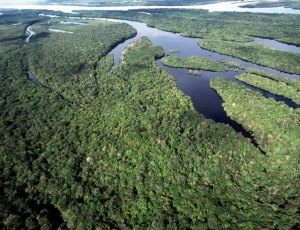 Brasil anuncia a maior queda de desmatamento na Amazônia e no Cerrado desde 1988