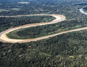 Holanda anuncia US$ 500 milhões em fundo florestal criado pelo Brasil