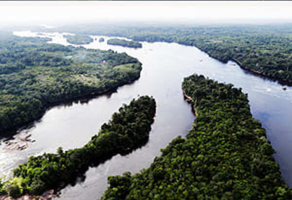 Com general, com Congresso, com tudo: Brasil esquece a COP26 e abre a porteira ao garimpo na Amazônia