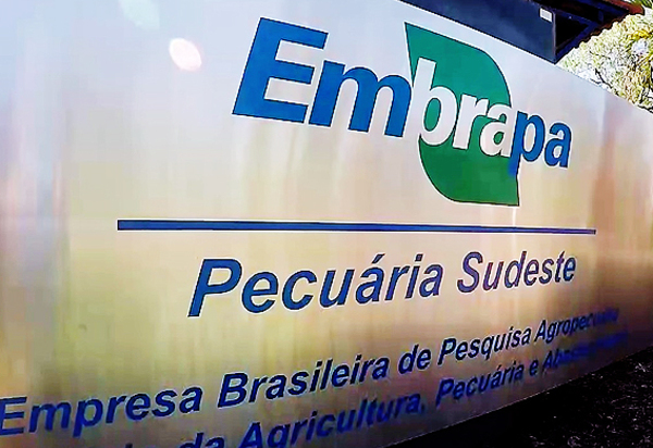 Pesquisadores da Embrapa rechaçam ideia de “privatização” da empresa